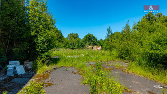 Prodej ostatní, 11500 m², Krásná Lípa, Zahrady - 9