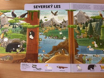 Kniha Mapy a Svět divičiny - 9