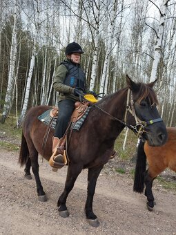 Lesní jezdecké tábory a příměstské tábory - 9