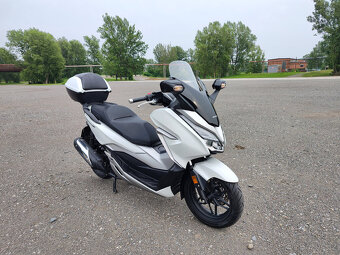Honda Forza 300, původ ČR, perfektní stav - 9