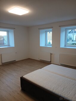 Pronajmu rodinný dům po rekonstrukci - 9