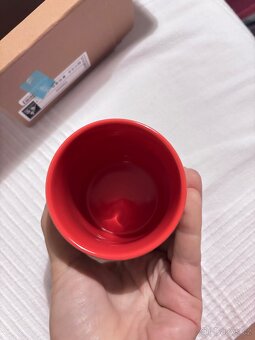 Tradicni Yunomi hrnek z Japonska - 9