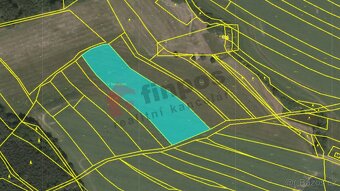 Prodej pozemků, 134466 m² v k.ú. Krtov, okres Tábor - 9