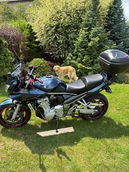 Suzuki BANDITA 1250 s Abs , LEO VINCE. - 9