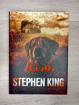 Knihy Stephen King - 9