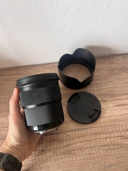 Nikon D750 + 24–70 mm f/2.8 + Sigma 50 mm f/1.4 ART - 9