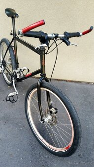 Hercules Alabama 1997 Sachs Powerdisc Schwalbe Fat Frank - 9
