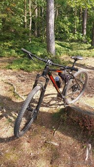 Silverback Sola1 - 9