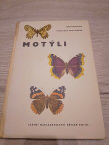 Motýli, pavouci - 9