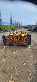 Prodej palivové dřevo rovnané - 9