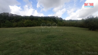 Prodej louky, 12373 m², Jenčice - 9