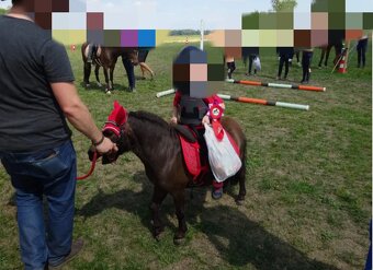 Pony na prodej - 9