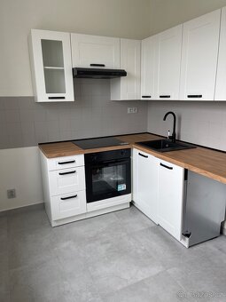 Pronajem bytu 3+1 - 9