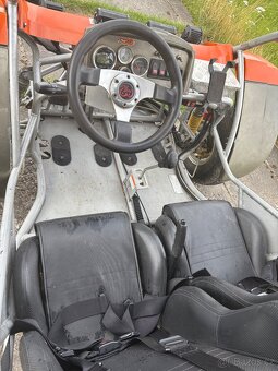 Buggy RENLI 250 - SPZ - 9