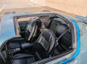 Pontiac Firebird Formula (1978) - 9