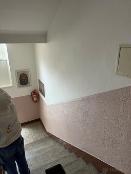 Malířství/natěračství - Paint4Umalířství - 9
