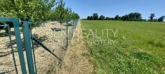 Pronájem zahrady pro rekreaci Pohořelice 1400 m2 s ovocnými  - 9