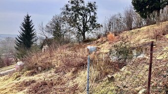 Prodej stavebního pozemku vč. projektu - Napajedla - 9