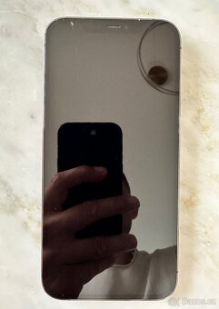 iPhone 12 Pro Max 256 Gb - 9