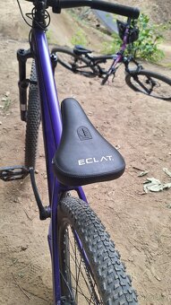 CTM Dirtking expert 2025 - 9