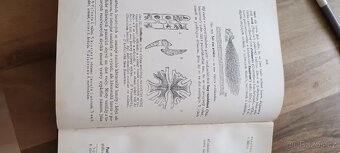 Kniha Malý Brehm - 9