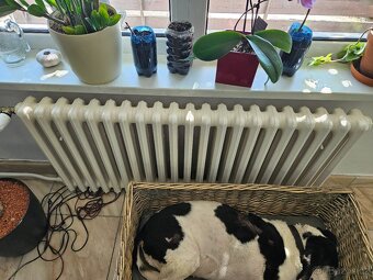 Litinové radiátory Kalor včetně termostatických ventilů - 9
