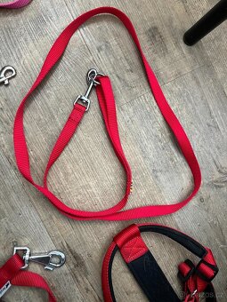 Vodítka a kšíry pro psy - Ferplast, a další - 9