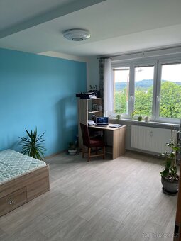 Prodej bytu 3+1, 66 m2, Stará Role Karlovy Vary - 9