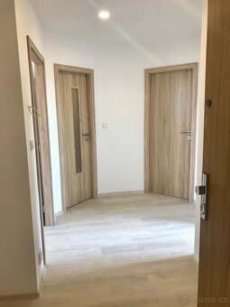Pronájem 3+kk po kompletní rekonstrukci - 9
