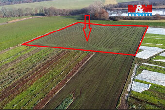 Prodej ovocného sadu, 9979 m², Nové Dvory u Kutné Hory - 9