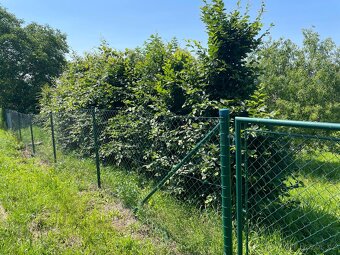 Stavební pozemek 1660 m² Petkovy, Mladá Boleslav - 9