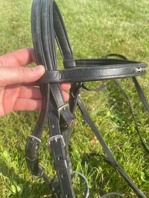 Drezurní uzdečka - 9