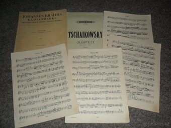 Brahms, Wagner, Schubert, Scriabin, Schumann, Clementi... - 9