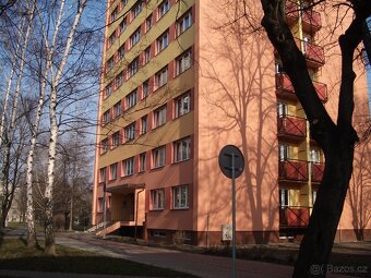 Pronájem bytu 2+1 s lodžií v Bohumíně - 9