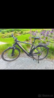 Canull Tempek+ HD Lowstep 630Wh (Green) 2024 - 9