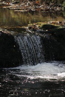 Canon EOS Rebel T3 - 9