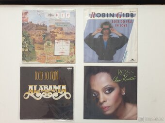 SP desky singly zahraniční - 9