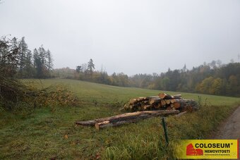 Valchov - pozemek pro komerční výstavbu, 15 204 m2 – pozemek - 9