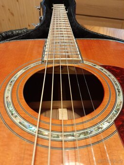 Kopie Martin D-45 - 9