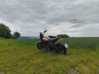 Ducati Scrambler Icon 800 - 9