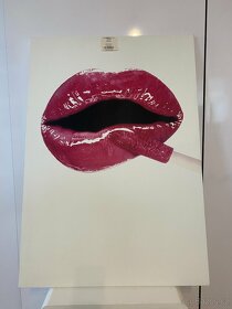 Obraz na plátně tisk - KISS and Swallow - 9
