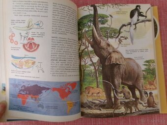 Od agamy po žraloka: Velký ilustrovaný slovník... - 9