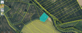 Prodej pozemků v kú Starý ples, Veselice nad Metují - 7,4 ha - 9