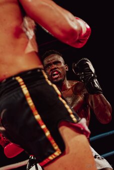 Sony ZV-E10 + Sigma 30mm f/1.4 DC DN | C + 3 baterie + nabíj - 9