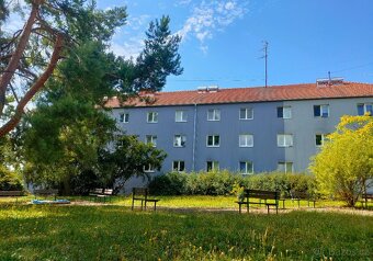 Pronájem bez RK, cihlový byt 1+1 po reko., Brno-Řečkovice - 9