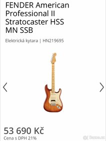 Fender American professional ll HSS MN SSB - 9