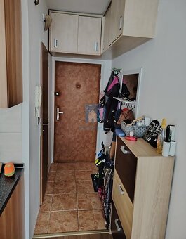 Prodej bytu 1+1 Plzeň, ulice Sokolovská, 40 m2 - 9
