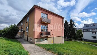 Pronájem bytu 2+1 s balkonem, Náměšť nad Oslavou - 9