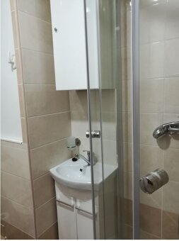 Pronájem bytu 1+kk, 31 m2, lodžie, rekonstrukce - 9