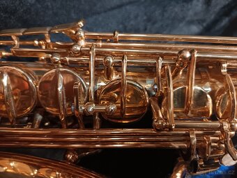 Alt sax Conn - 9